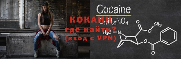 гашик Михайлов