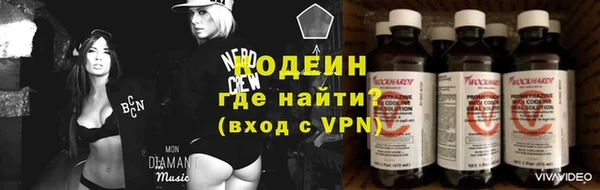 гашик Михайлов