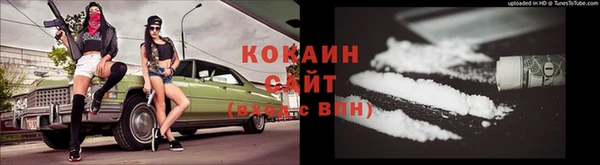 гашик Михайлов