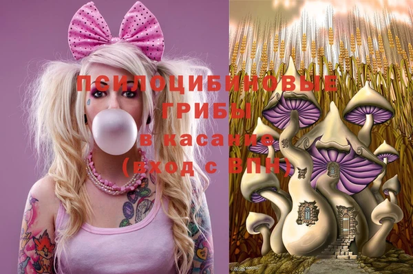 гашик Михайлов