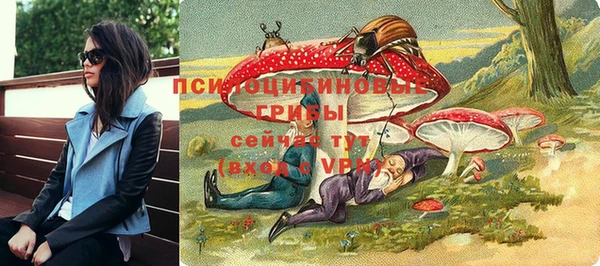 дживик Михайловка